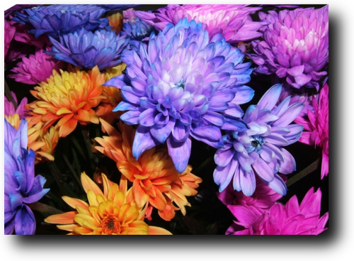 Canvas print example Canvas print example