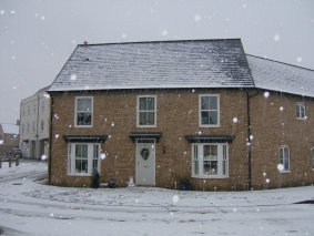 Modified using colorize