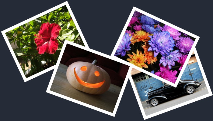 Scatterd photos example