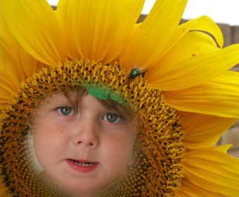 Composite soft edge example Composite soft edge example