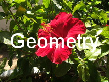 Geometry example