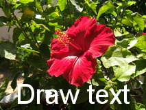 Text example