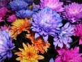 resize/thumbnail.jpg