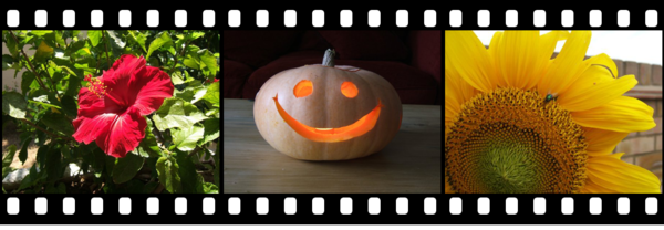 Film strip effect