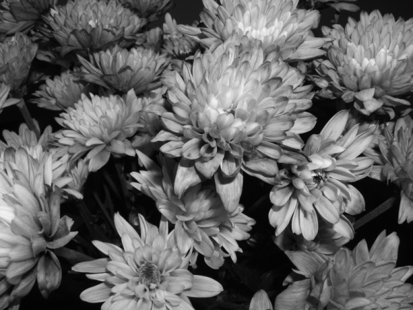  Black and white example