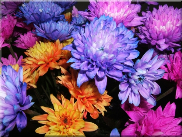  A frame effect example