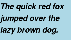 Bold and italic text
