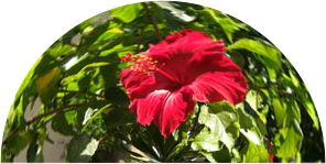 Arc example